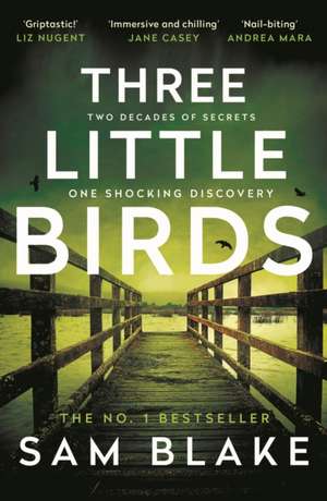 Three Little Birds de Sam Blake