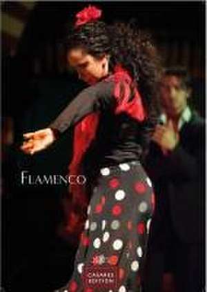 Flamenco color 2025 de H. W. Schawe