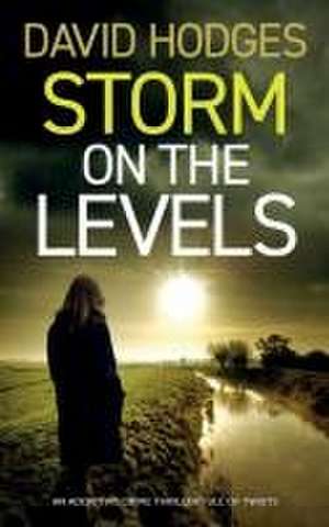 STORM ON THE LEVELS an addictive crime thriller full of twists de David Hodges