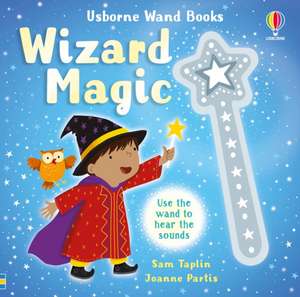 Wand Books: Wizard Magic de Sam Taplin
