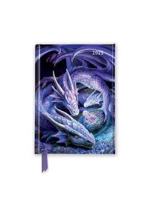 Anne Stokes: Welcome Hatchling 2025 Luxury Pocket Diary Planner - Week to View de Flame Tree Studio