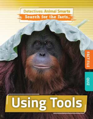 Using Tools de Anne O'Daly