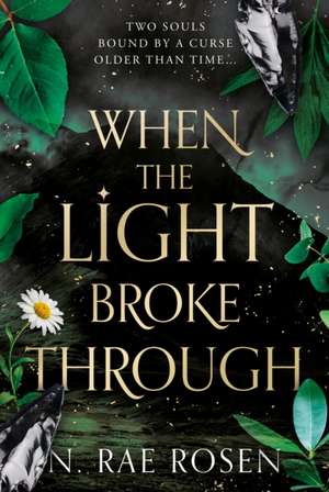 When the Light Broke Through de N. Rae Rosen