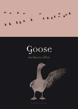 Goose de Barbara Allen