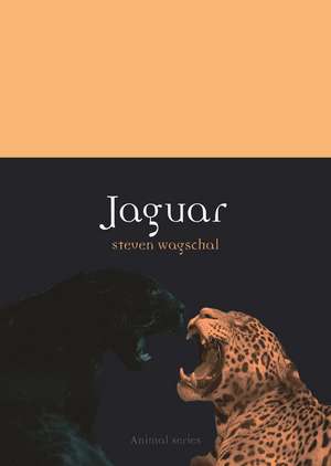 Jaguar de Steven Wagschal