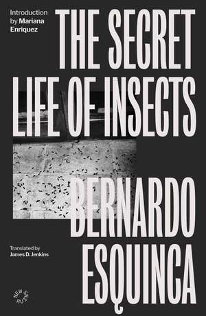 The Secret Life Of Insects de Bernardo Esquinca