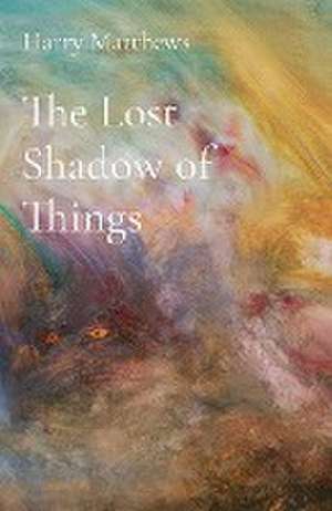 The Lost Shadow of Things de Harry Matthews