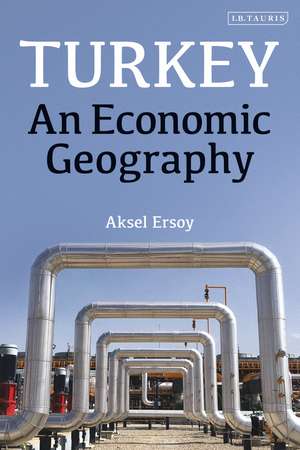 Turkey: An Economic Geography de Aksel Ersoy