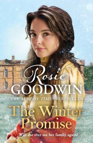 The Winter Promise de Rosie Goodwin