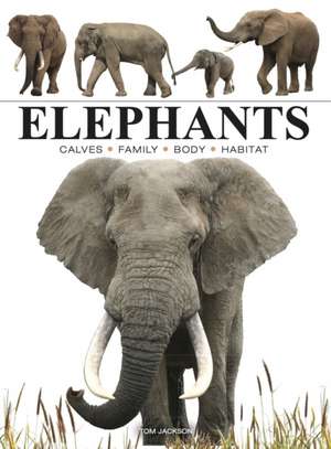 Elephants de Tom Jackson