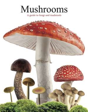 Mushrooms de Liz O'Keefe