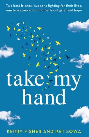 Take My Hand: Two best friends, two sons fighting for their lives, one true story about motherhood, grief and hope. de Kerry Fisher