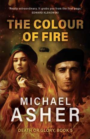 The Colour of Fire de Michael Asher