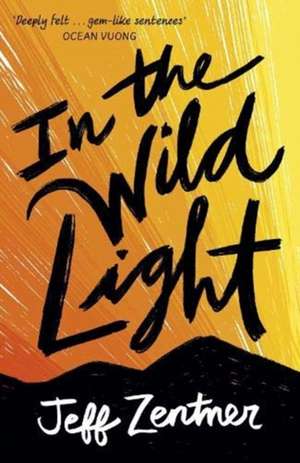 In the Wild Light de Jeff Zentner