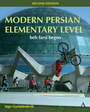 Modern Persian, Elementary Level de Iago Gocheleishvili