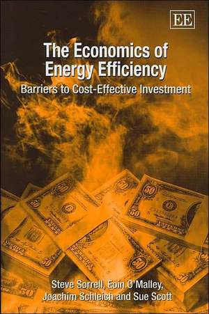 The Economics of Energy Efficiency de Steve Sorrell