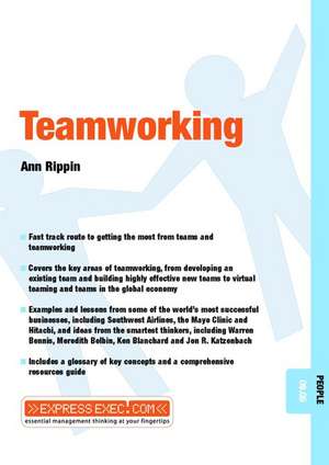 Teamworking de Ann Rippin