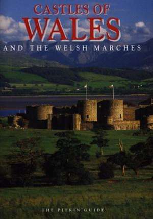 Cook, D: Castles of Wales de David Cook