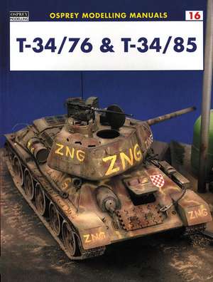 T-34/76 & T-34/85: Infantry de Rodrigo Hernandez Cabos