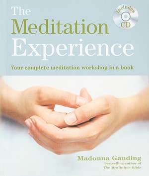 The Meditation Experience