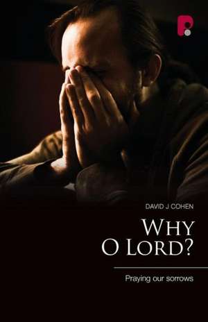 Why O Lord? de David J Cohen