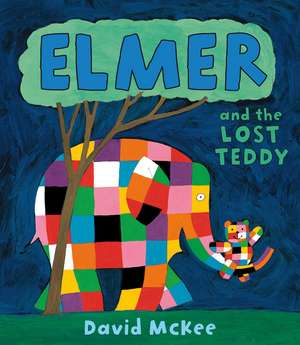 Elmer and the Lost Teddy de David McKee