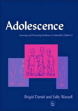 Adolescence de Brigid Daniel