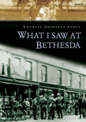 What I Saw at Bethesda de CHARLES SHERIDAN JONES