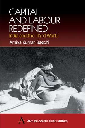 Capital and Labour Redefined de Amiya Kumar Bagchi