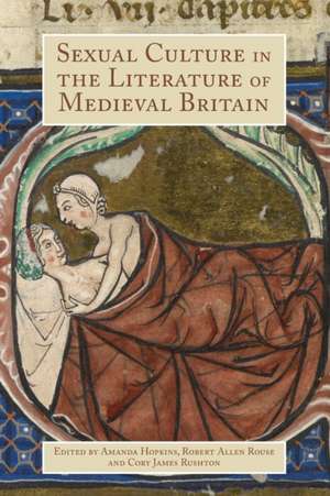 Sexual Culture in the Literature of Medieval Britain de Amanda Hopkins