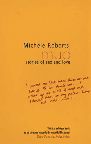 Mud: Stories of Sex and Love de Michele Roberts