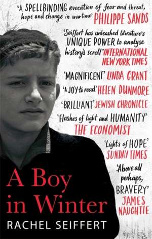 A Boy in Winter de Rachel Seiffert