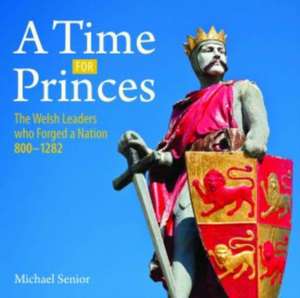 Compact Wales: Time for Princes, A de Michael Senior