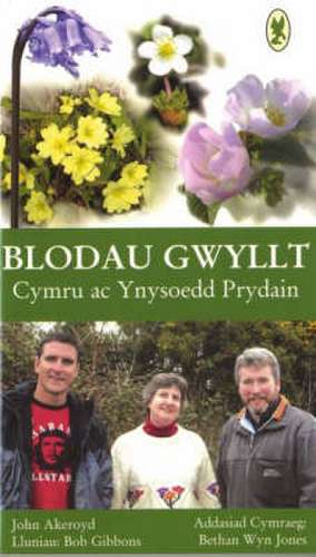 Blodau Gwyllt Cymru ac Ynysoedd Prydain de Bethan Wyn Jones