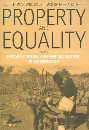 Property and Equality, Volume II de Wolde Gossa Tadesse