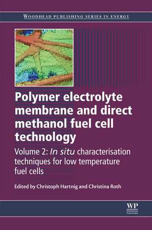 Polymer Electrolyte Membrane and Direct Methanol Fuel Cell Technology: Volume 2: In Situ Characterization Techniques for Low Temperature Fuel Cells de Christoph Hartnig