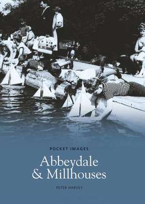 Abbeydale and Millhouses de Peter Harvey