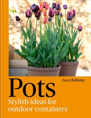 Pots: Stylish Ideas for Outdoor Containers de Lucy Bellamy