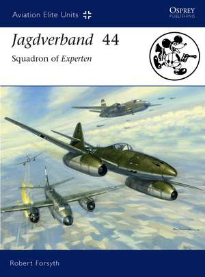 Jagdverband 44: Squadron of Experten de Robert Forsyth