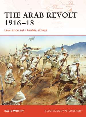 The Arab Revolt 1916–18: Lawrence sets Arabia ablaze de David Murphy