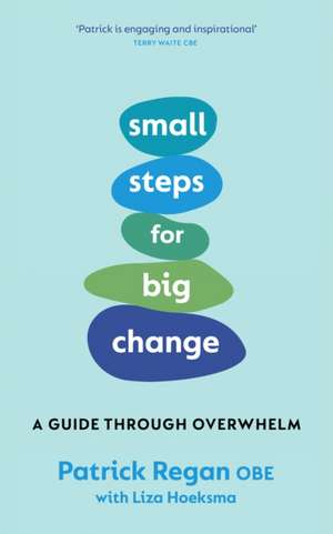 Small Steps for Big Change de Patrick Regan
