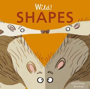 Shapes de Courtney Dicmas