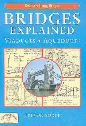 Bridges Explained: Viaducts, Aqueducts de Trevor Yorke