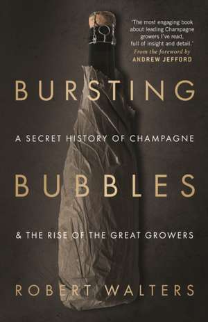 Bursting Bubbles de Robert Walters