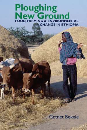 Ploughing New Ground – Food, Farming & Environmental Change in Ethiopia de Getnet Bekele