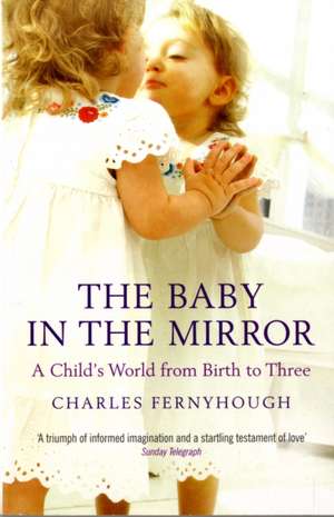 The Baby In The Mirror de Charles Fernyhough