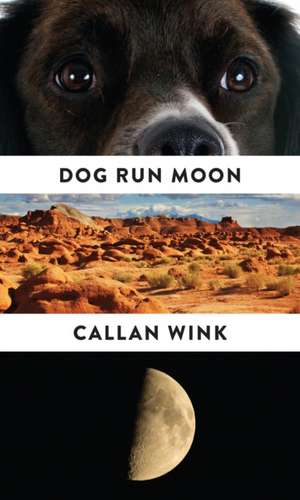 Dog Run Moon de Callan Wink