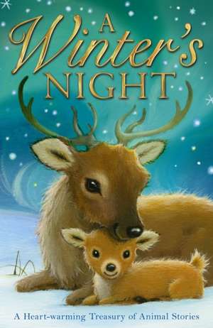 Various Authors: A Winter's Night