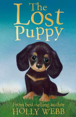 The Lost Puppy de Holly Webb