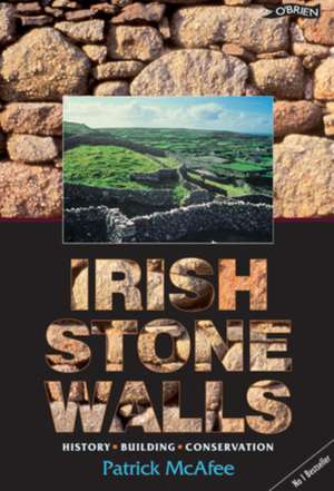 Irish Stone Walls de Pat McAfee